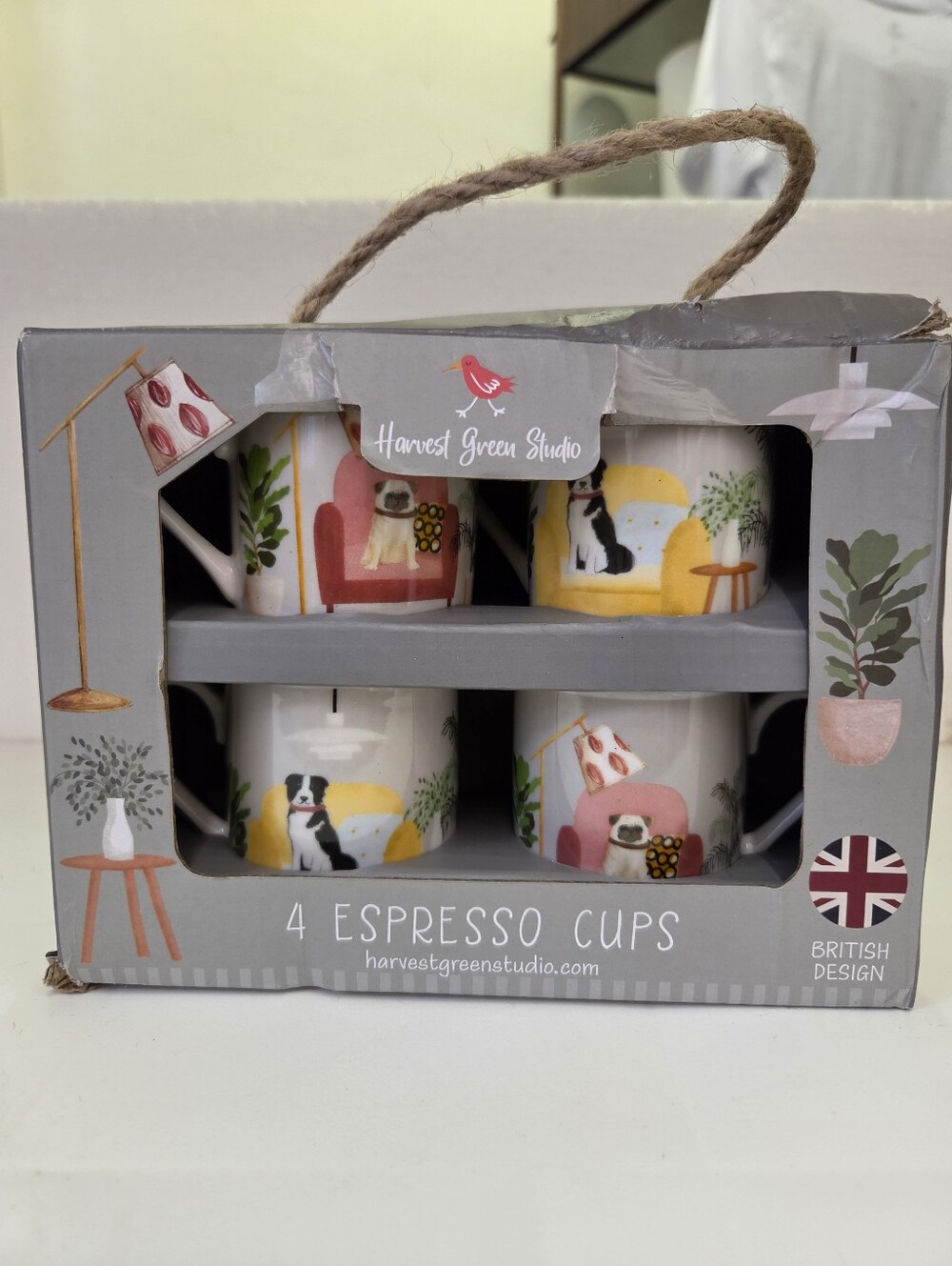 Harvest Green Studio 4-Piece Espresso Cup Set - Multi Color
